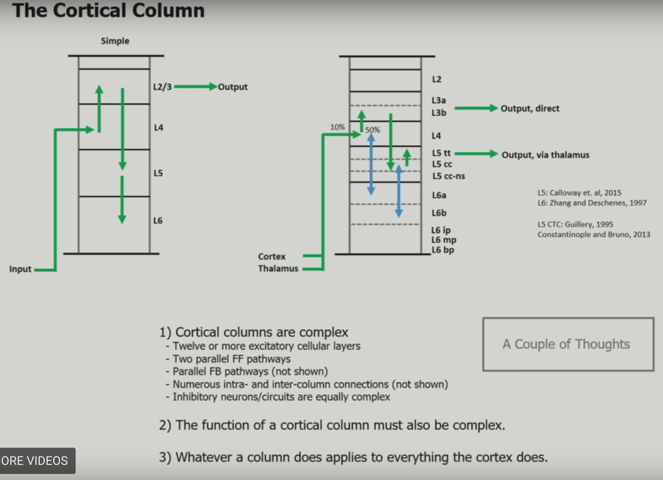 cortical_columns